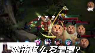 Who invaded whose jungle?