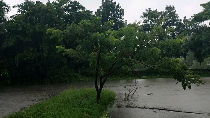 প্রাকৃতি