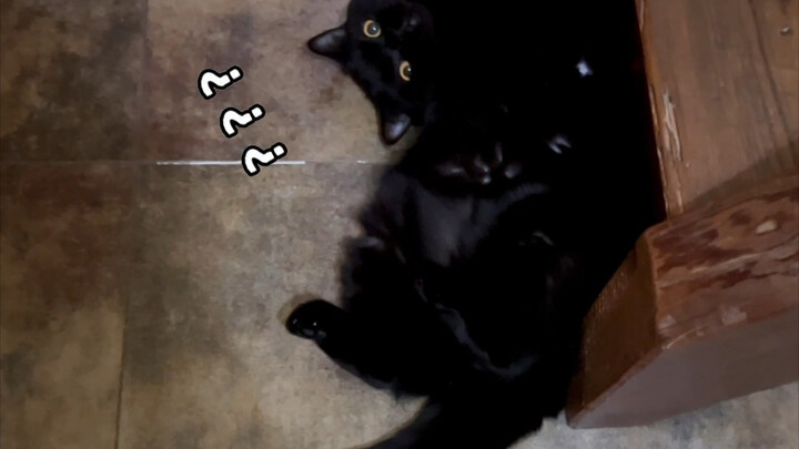 Master, you look so exhausted! How about I give you a manicure? 555555