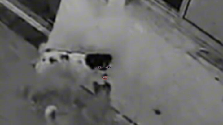 Dog Blows Out the Lamp Series: Midnight Terror.