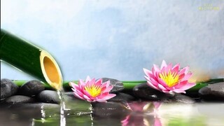 Bamboo Water Fountain and Healing Music - Relaxing Music with Nature Sounds