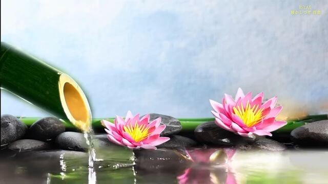 Bamboo Water Fountain and Healing Music - Relaxing Music with Nature Sounds