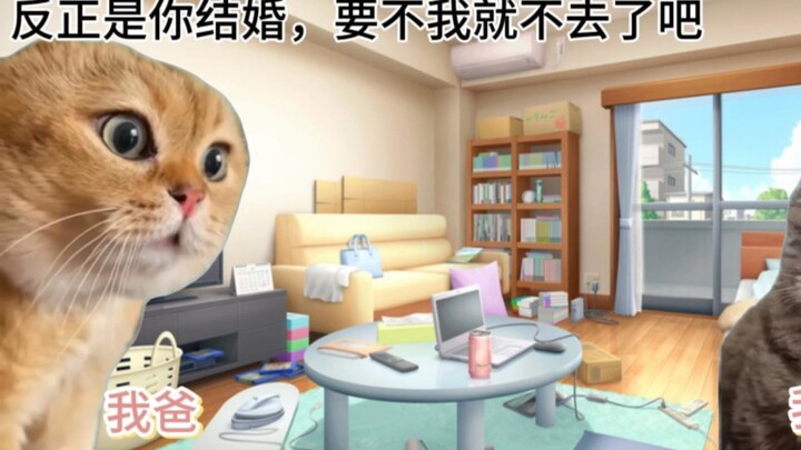 【Meme Kucing】Soal Kenapa Seluruh Keluargaku Tidak Hadir di Pernikahanku