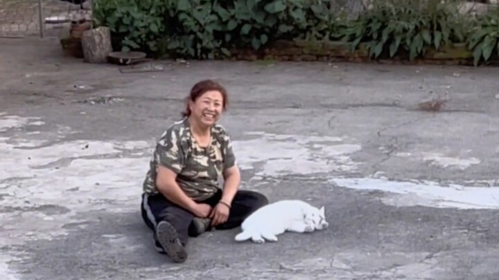 “Mèo con chính là liều thuốc giải cho cuộc sống mệt mỏi của mẹ nhỉ~”