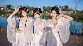 落叶知秋，微风徐来｜寻茶｜