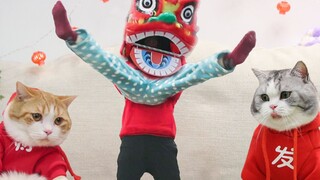 The owner ate New Year's Eve dinner with the cat and performed a hilarious lion dance together. The 