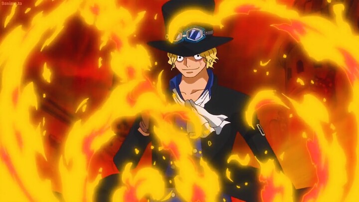 Sabo decides to risk his life with Fujitora to protect Luffy, Zoro Combat Pica