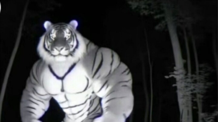 ตึงมาก#28