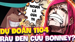 DỰ ĐOÁN 1104 OP | RÂU ĐEN SẼ LÀ NGƯỜI CỨU BONNEY?!