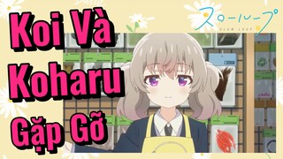 [Slow Loop] Koi Và Koharu Gặp Gỡ