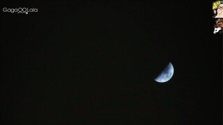 Lá Chắn Miễn Dịch - Tập 3