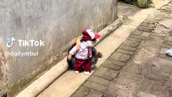 oyen mau berangkat sekolah