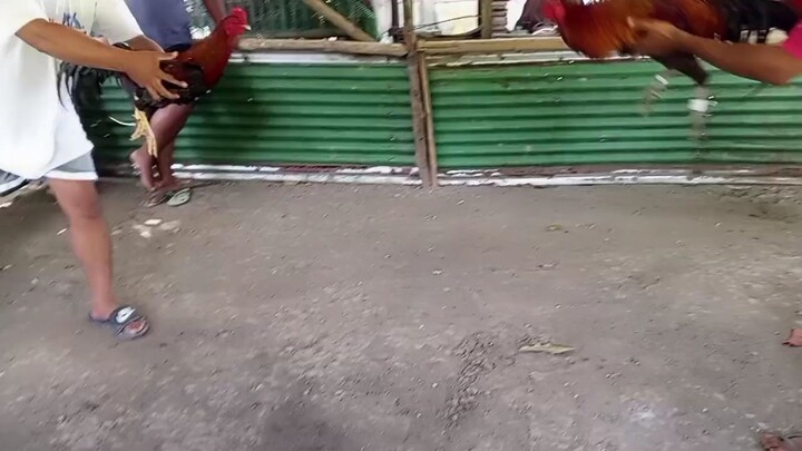 tayo naman ang dumayo padalawa mo na yan nokis💪🏻💪🏻