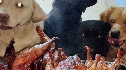The dogs wish everyone a happy Little New Year!