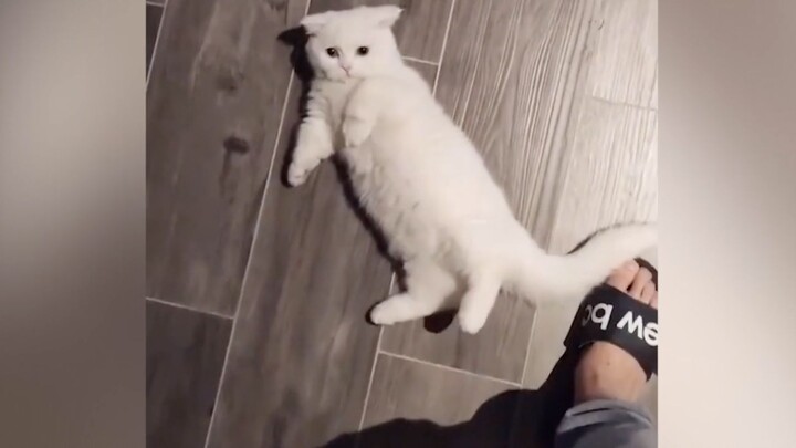 Miu: Người ta ngã rồi, phải ôm ôm hôn hôn mới hết đau ấy mà