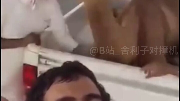 【Funny Daily Life of Earth Creatures #140】