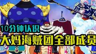 Kenali semua anggota Bajak Laut Big Mom dalam 10 menit