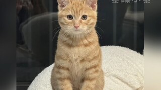 火的莫名其妙