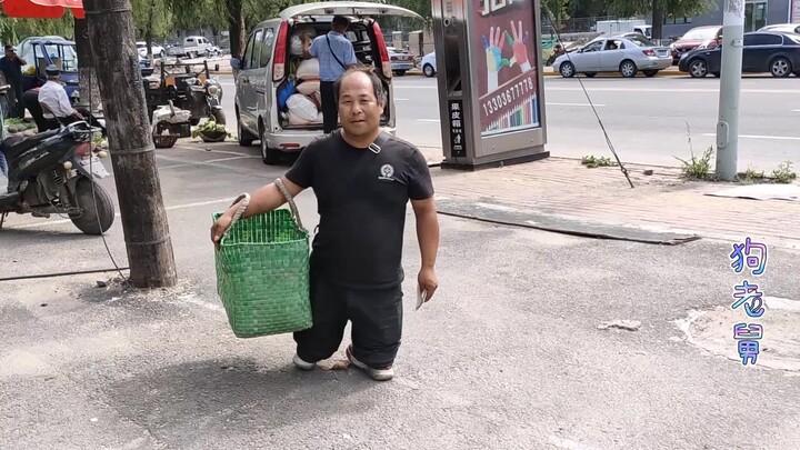 菜园秋收了，去集市卖菜，给狗狗们改善伙食