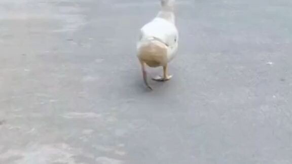 Saldo anda tidak mencupi#fyp