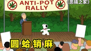 恶搞之家大麻合法化，布莱恩担任禁毒大使，为正义现身宣传禁毒