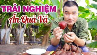 Anh Nông Dân #14: Cùng Anh Nông Dân Trải Nghiệm Ăn Quả Vả | Roxburgh Fig