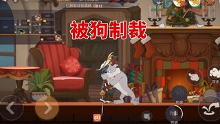 猫和老鼠手游：本想拿蛋糕引老鼠出来，没想到被这狗东西制裁了