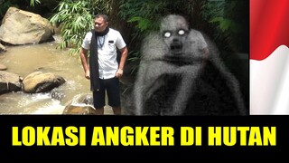 Survei lokasi live striming tempat angker di hutan !