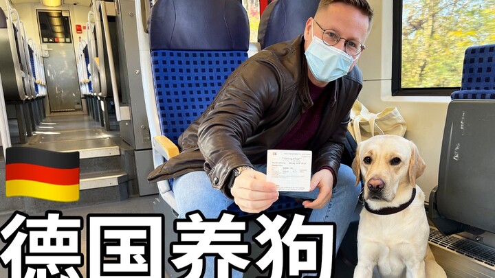 带狗狗买儿童票坐火车，被德国小姐姐看到后，她居然…？！