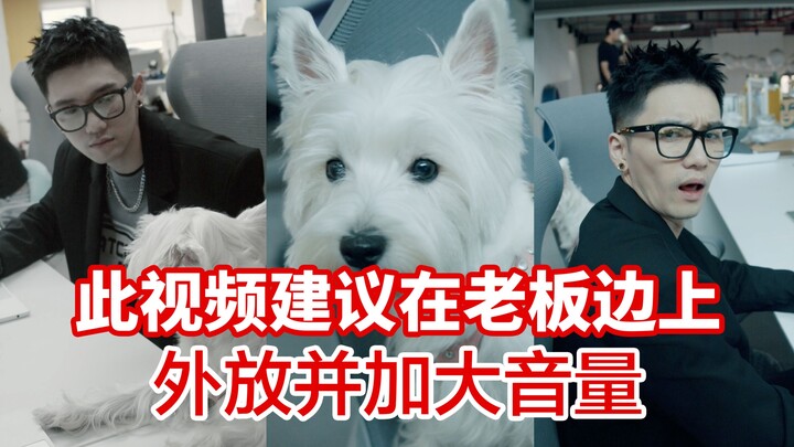 This must be one of the most satisfying moments for office workers, right!?