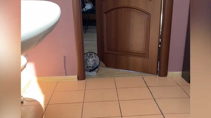 انطلق في المغامرة الآن!