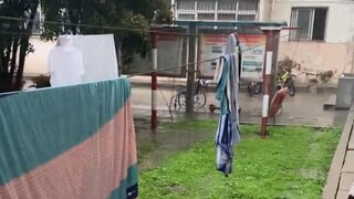 《那场雨毁了我一被子》