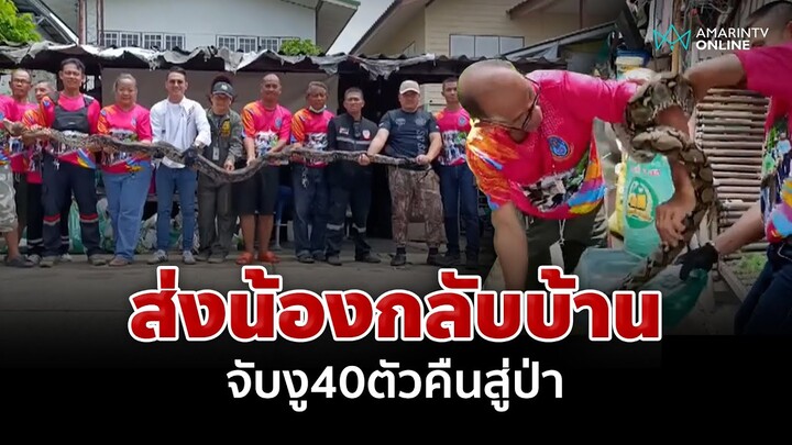 ส่งน้องกลับบ้าน กู้ภัยจับงู 40 ตัว ปล่อยคืนสู่ป่า | อมรินทร์อัปเดต