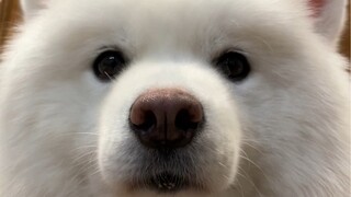 You're so cute, you'll get caught!