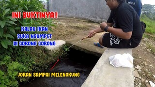 GOKIL..!! Mancing di Gorong Gorong Kecil yang Jadi Tempat Favorit Ikan