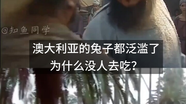 ประชากรกระต่ายในออสเตรเลียล้นเกินไปแล้ว ทำไมถึงไม่มีใครไปกินมัน?