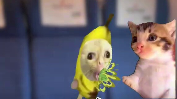 Welcome everyone to see Brother Hat and Sister Hat