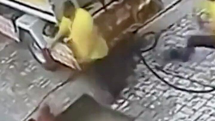 Setiap Orang Punya Kotoran