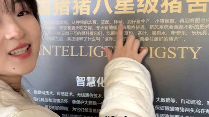 ยอมรับเลยว่าฉันอยากเป็นหมูแล้ว!