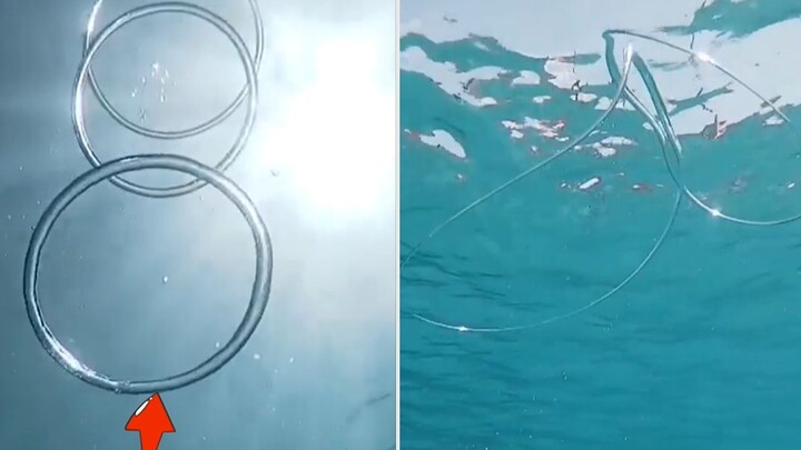 If you see this thing at the bottom of the sea, should you run for your life?