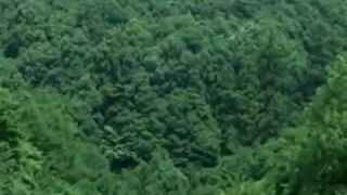 โรงเรียนลูกผู้ชาย เดอะ มูฟวี่ เต็มเรื่อง จาก การ์ตูนสู่ Movie the best of 1990s.