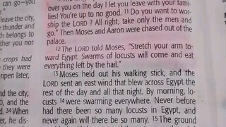 Daily Verse.                  Exodus 10:8-12