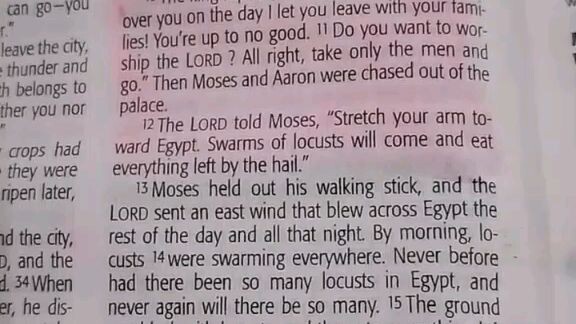 Daily Verse.                  Exodus 10:8-12