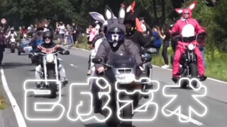 西格玛男人-骑士精神