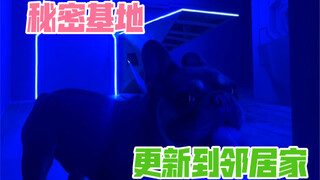 媳妇还是发现了我的秘密基地，秘密基地新的空间必须加快挖掘进度了！