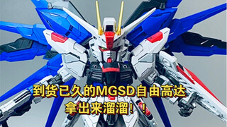 This is the cool and cute Gundam!! MGSD Freedom Gundam!!!