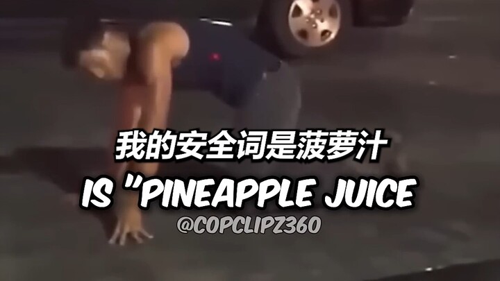 《史上最搞笑的逮捕现场》