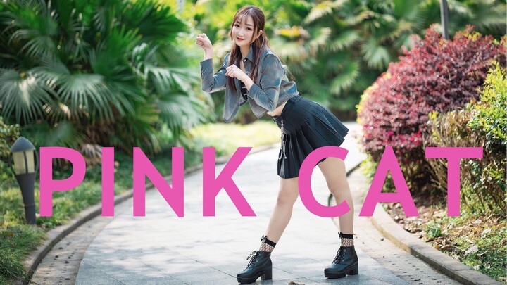 เต้นคัฟเวอร์เพลง PiNK CAT - GARNiDELiA