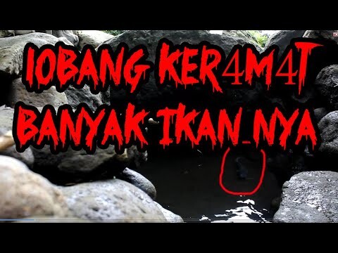 MANCING LELE SETINGAN