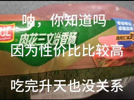 《不要相信火腿肠先生的话》